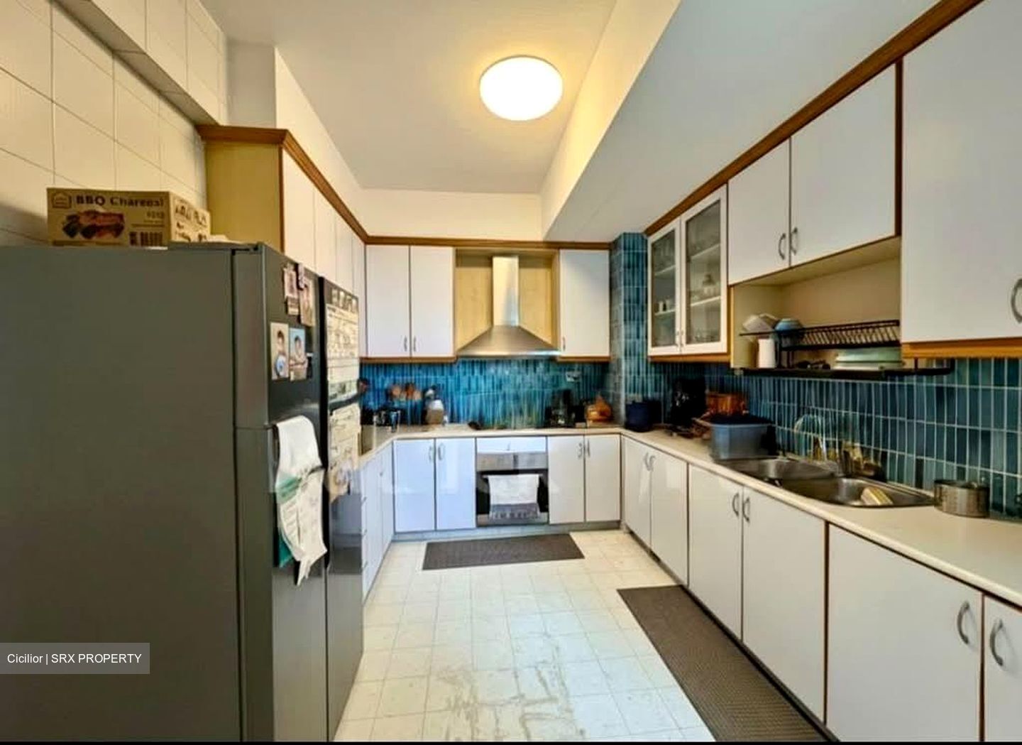 Ocean Park (D15), Condominium #530696071